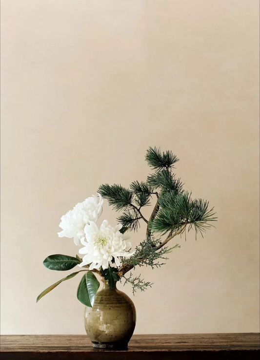 Chinese flower arrangement with pine branches and white chrysanthemums in a ceramic vase