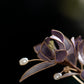 Non-Heritage Craft Purple Magnolia Pin – Classic Chinese Style Brooch