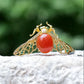 Cicada South Red Agate Brooch