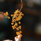 Guofeng Osmanthus Collar Necklace – Elegant Qipao Accessory