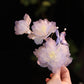 Handmade Silk Peony Hair Clip – Tang Style Floral Hair Accessory