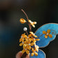 Fairy-Inspired Blue Butterfly Osmanthus Hair Clip – New Chinese Style Hair Ornament